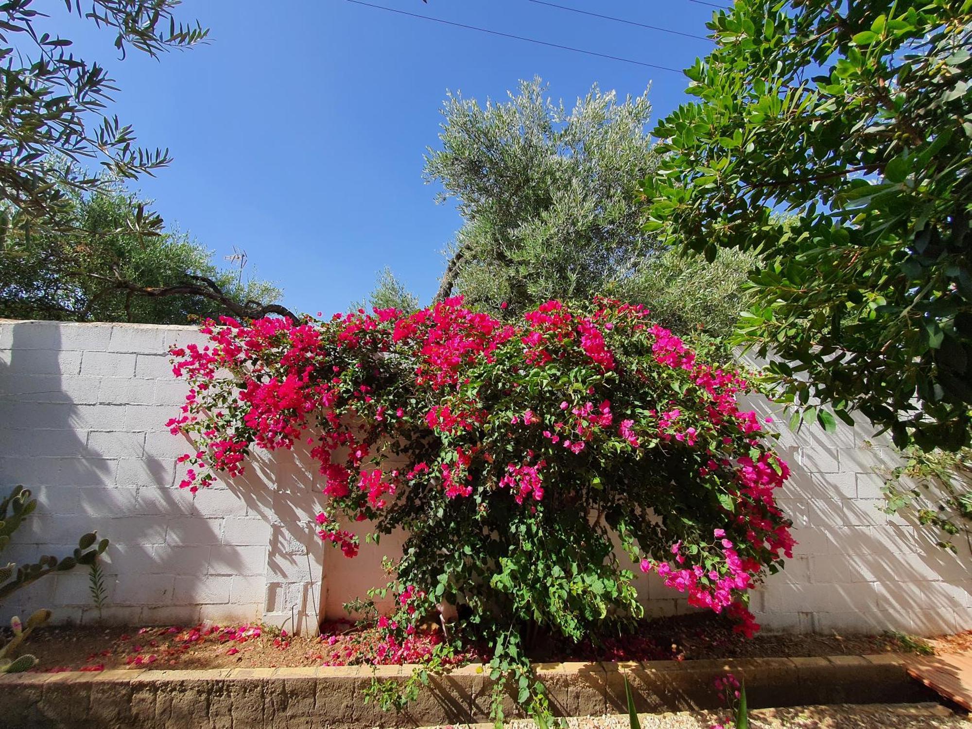 Villaluna Marchena 外观 照片
